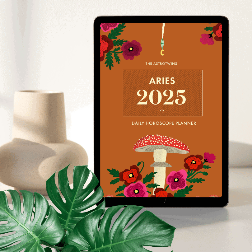 Aries 2025 Daily Horoscope Planner (PDF)