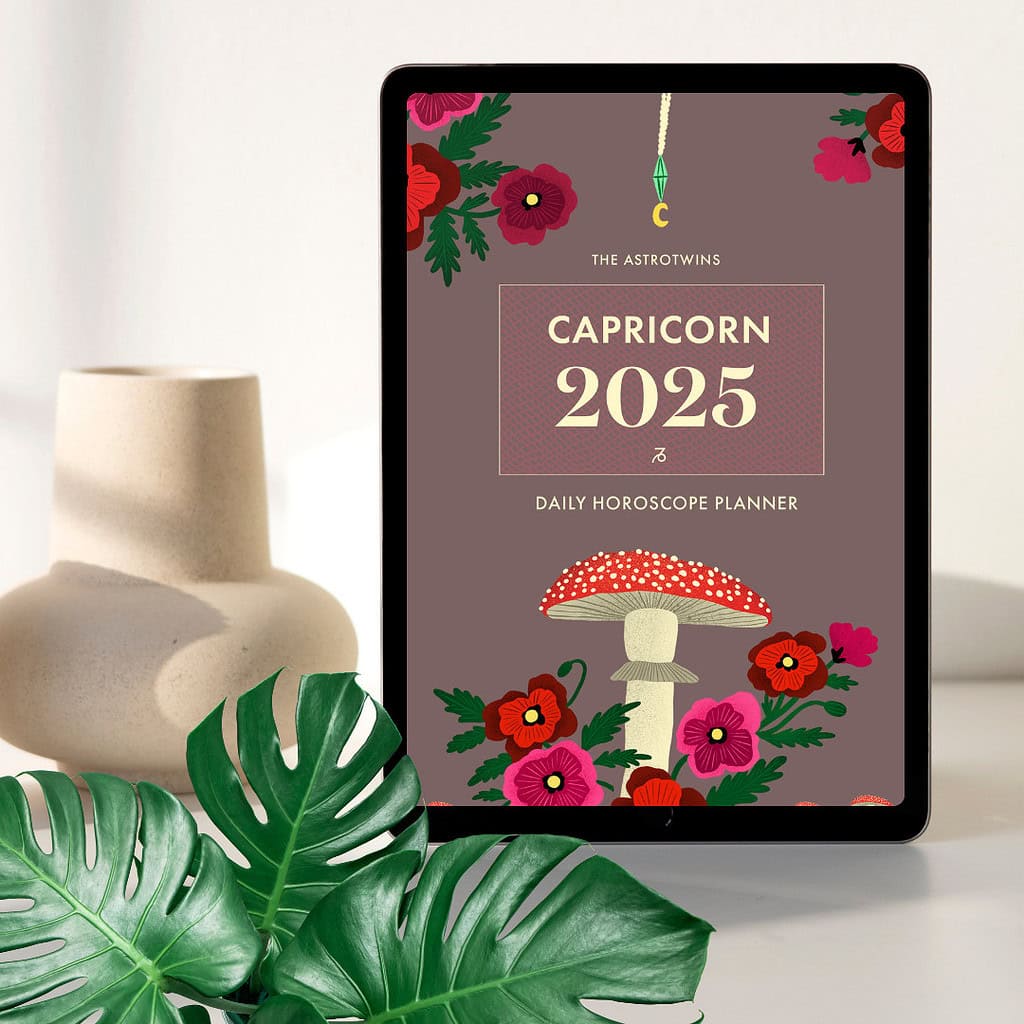 Capricorn 2025 Daily Horoscope Planner (PDF)