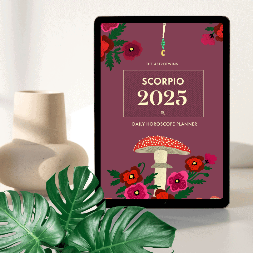 Scorpio 2025 Daily Horoscope Planner (PDF)