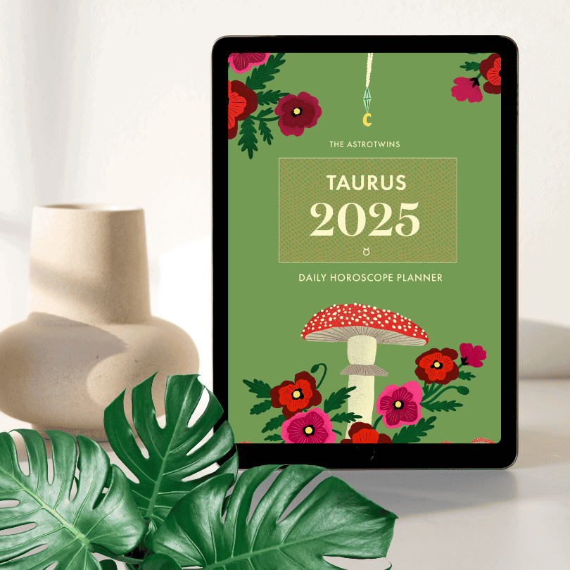 2025 Daily Horoscope Planners (PDF/Digital Version) by The AstroTwins