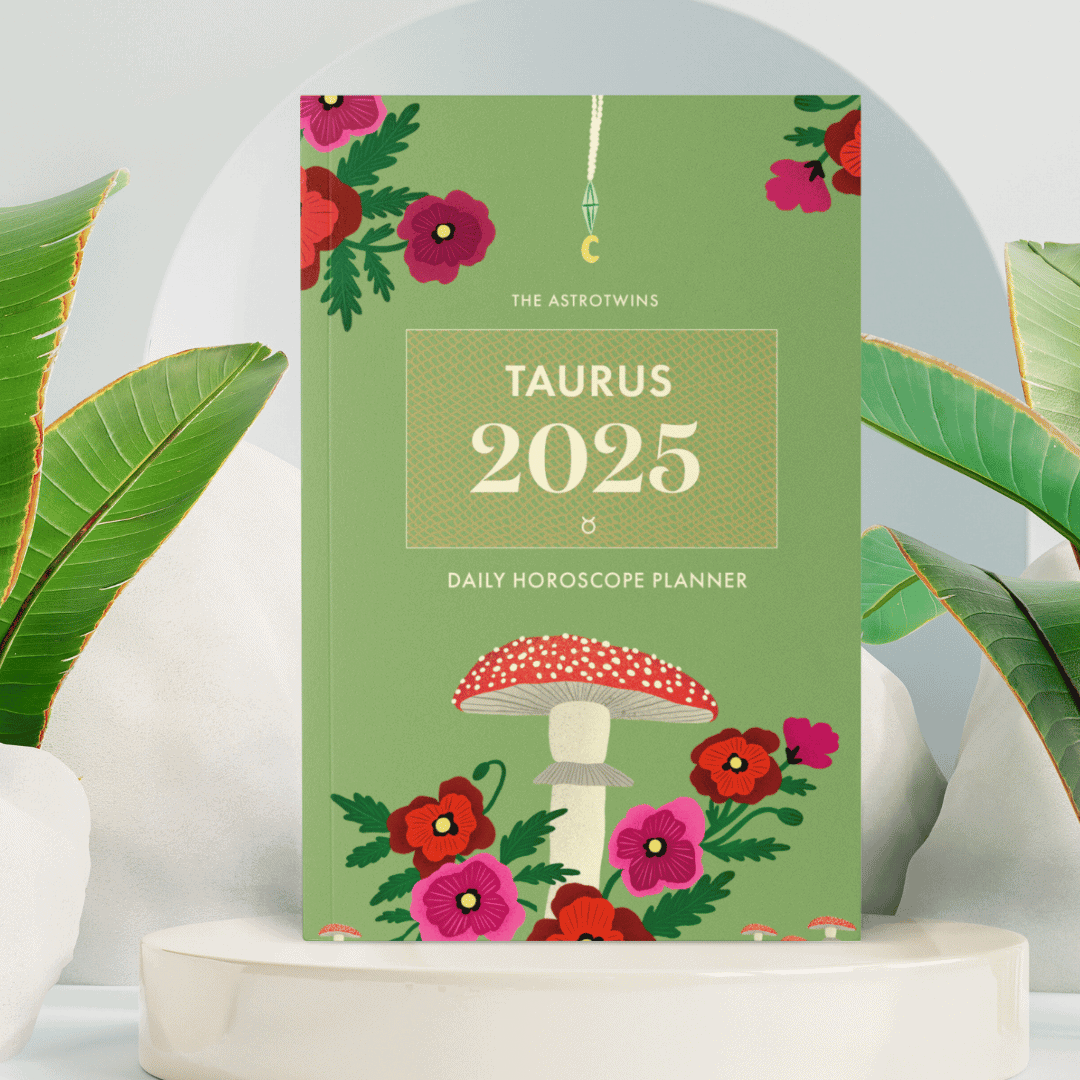 Taurus 2025 Daily Horoscope Planner The AstroTwins Shop Galaxy