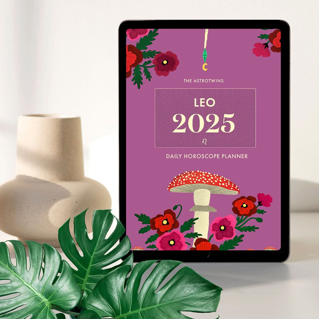 2025 Leo Digital