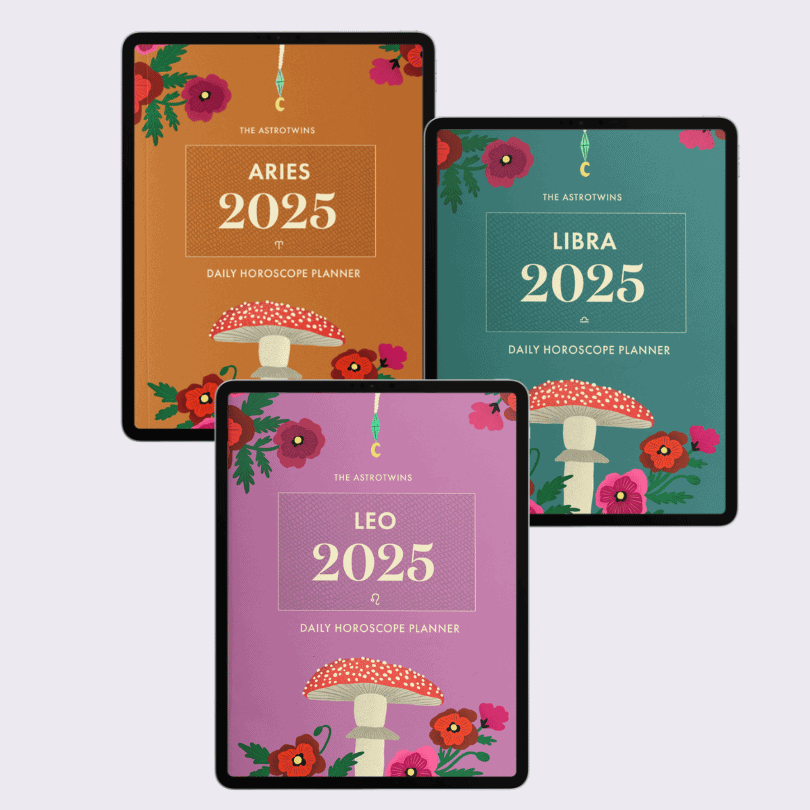 AstroTwins 2025 Daily Planners PDF