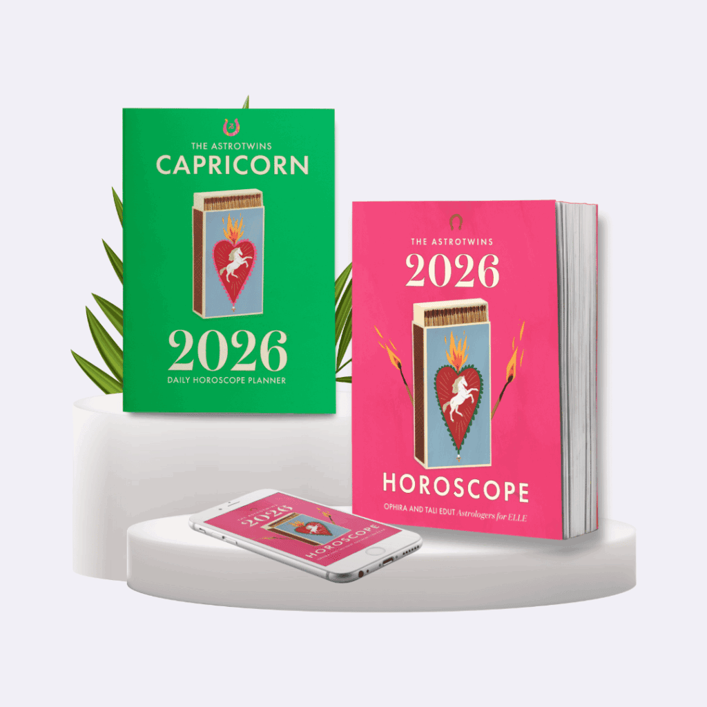 Capricorn 2026 Horoscope Bundle AstroTwins